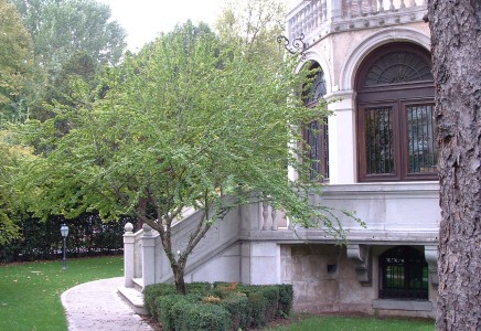 Image for TV 63 – Vendesi villa a Treviso Immediato Fuori Mura