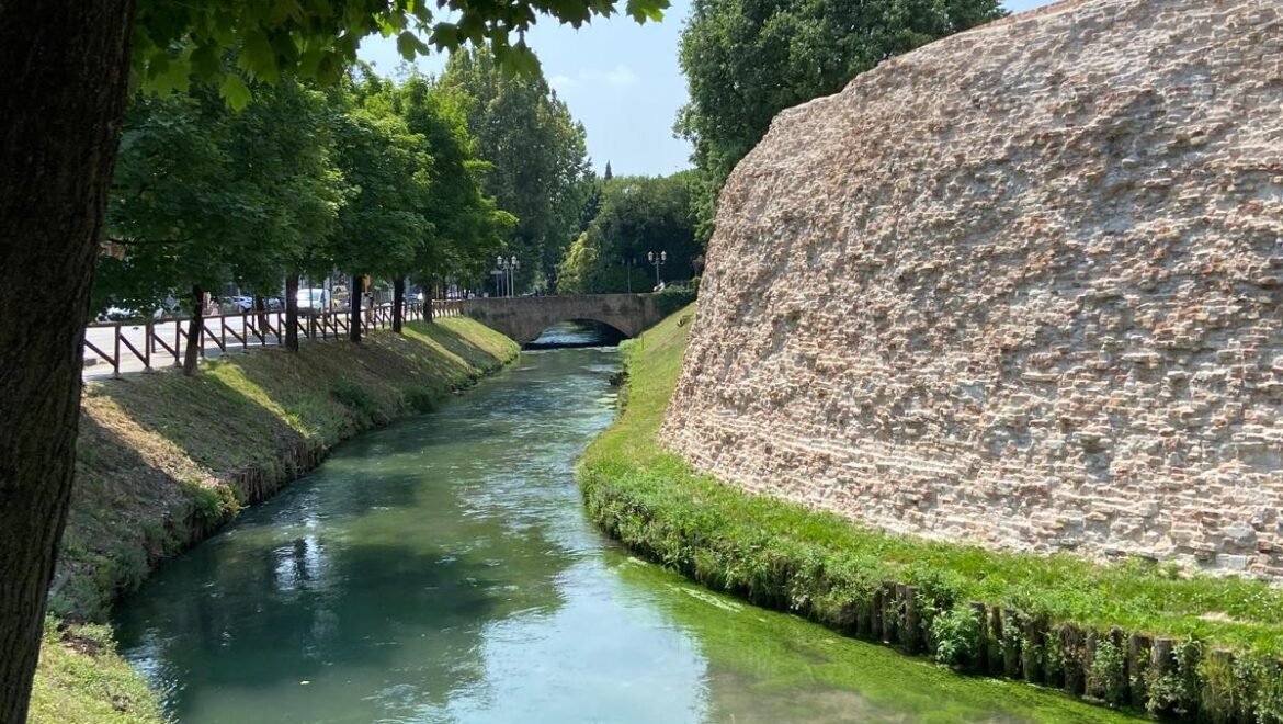  mura v1