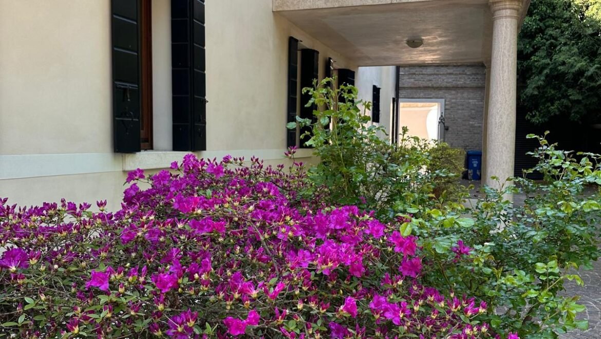 rif, 5137 (1) esterno fiori
