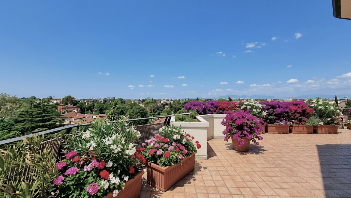 rif. 4394 terrazza 2b